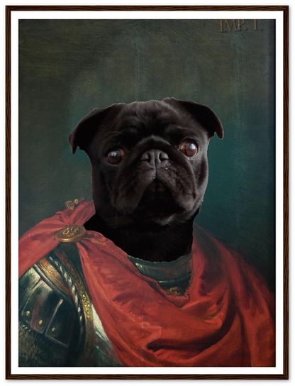 Imperator Julius - Custom Pet Portrait