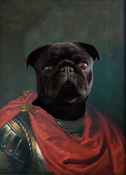 Imperator Julius - Custom Pet Canvas