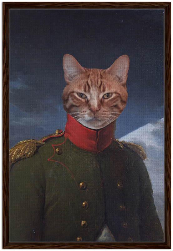 Napoleon - The Field Marshal - Custom Pet Canvas