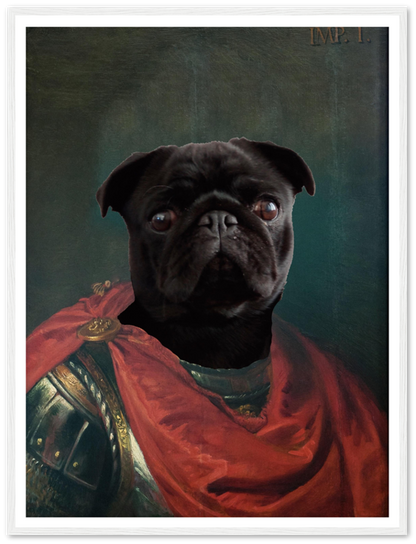 Imperator Julius - Custom Pet Portrait