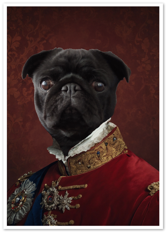 Lord - Custom Pet Portrait