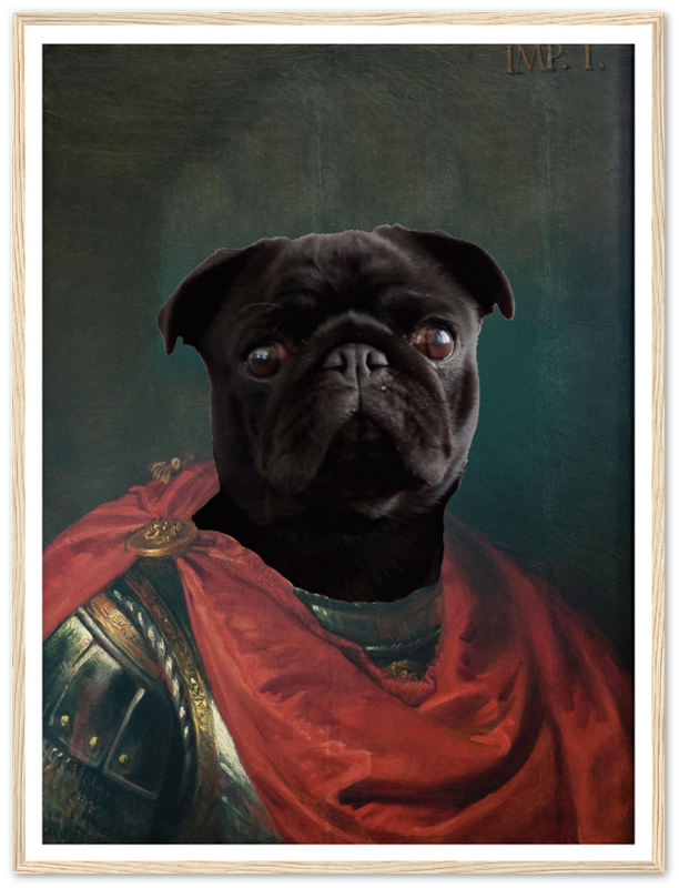 Imperator Julius - Custom Pet Portrait