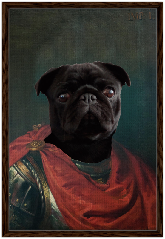 Imperator Julius - Custom Pet Canvas