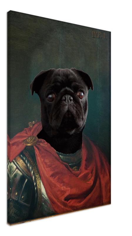 Imperator Julius - Custom Pet Canvas