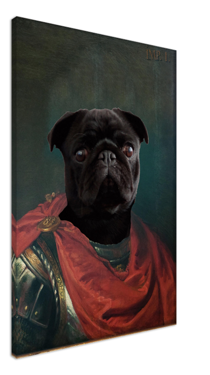 Imperator Julius - Custom Pet Canvas