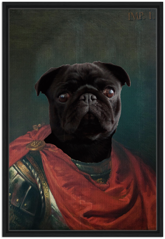 Imperator Julius - Custom Pet Canvas